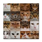 Breeds Of Cats Collage Tile Coaster Front