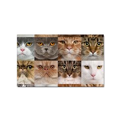 Breeds Of Cats Collage Sticker (rectangular) by kyorashop23