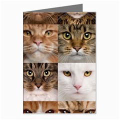 Breeds Of Cats Collage Greeting Card by kyorashop23