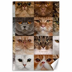 Breeds Of Cats Collage Canvas 24  X 36  by kyorashop23