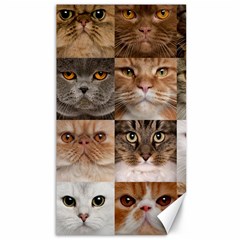 Breeds Of Cats Collage Canvas 40  X 72  by kyorashop23