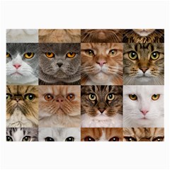 Breeds Of Cats Collage Large Glasses Cloth (2 Sides) by kyorashop23