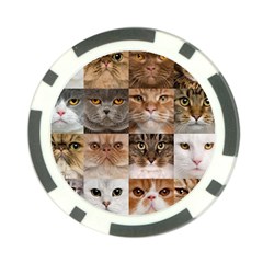 Breeds Of Cats Collage Poker Chip Card Guard