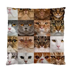 Breeds Of Cats Collage Standard Cushion Case (one Side) by kyorashop23