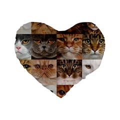 Breeds Of Cats Collage Standard 16  Premium Heart Shape Cushions by kyorashop23