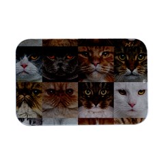 Breeds Of Cats Collage Open Lid Metal Box (silver)   by kyorashop23