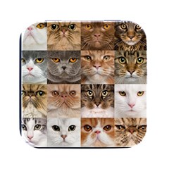 Breeds Of Cats Collage Square Metal Box (black) by kyorashop23