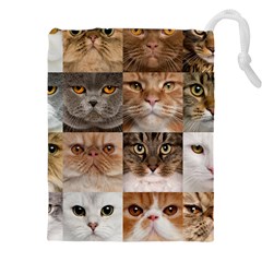 Breeds Of Cats Collage Drawstring Pouch (5xl) by kyorashop23