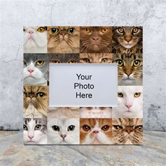 Breeds Of Cats Collage White Box Photo Frame 4  X 6  by kyorashop23