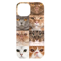 Breeds Of Cats Collage Iphone 15 Plus Black Uv Print Pc Hardshell Case