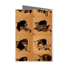 Carton, Brown Mini Greeting Cards (pkg Of 8)