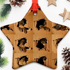 Carton, Brown Star Ornament (two Sides)