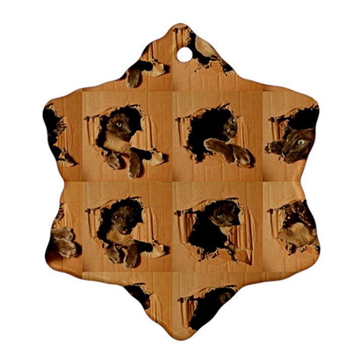 Carton, Brown Ornament (Snowflake)