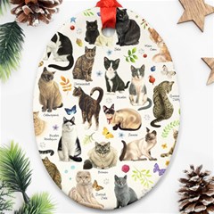 Cats, All, Collage, Cat Ornament (oval)