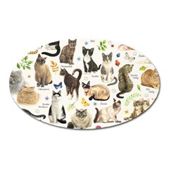 Cats, All, Collage, Cat Oval Magnet by kyorashop23