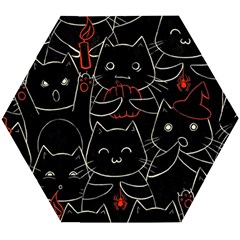 Catty Wooden Puzzle Hexagon