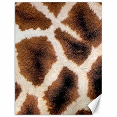 Giraffe Skin Texture Canvas 12  X 16  by kyorashop23