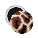 Giraffe Skin Texture 2.25  Magnets Front