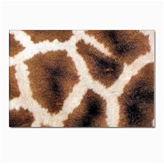 Giraffe Skin Texture Postcards 5  X 7  (pkg Of 10)