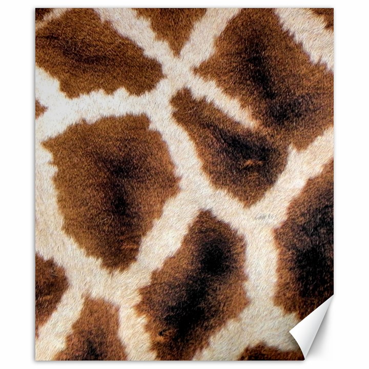 Giraffe Skin Texture Canvas 20  x 24 