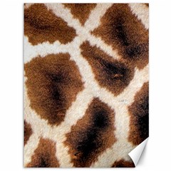 Giraffe Skin Texture Canvas 36  X 48  by kyorashop23