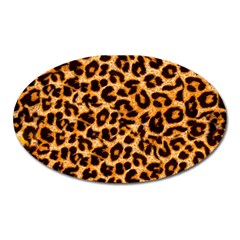 Giraffe Texture, Close-up, Giraffe Skin Texture Oval Magnet