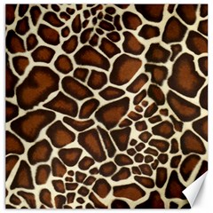 Giraffe Texture, Macro Canvas 20  X 20  by kyorashop23