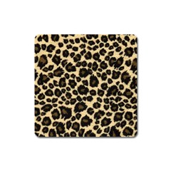 Jaguar Skin Texture, Jaguar Wool Texture, Yellow Square Magnet by kyorashop23