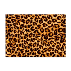 Leopard Skin Texture Macro, Brown Sticker A4 (10 Pack) by kyorashop23