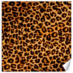 Leopard Skin Texture Macro, Brown Canvas 12  X 12  by kyorashop23