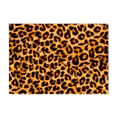 Leopard Skin Texture Macro, Brown Crystal Sticker (a4) by kyorashop23