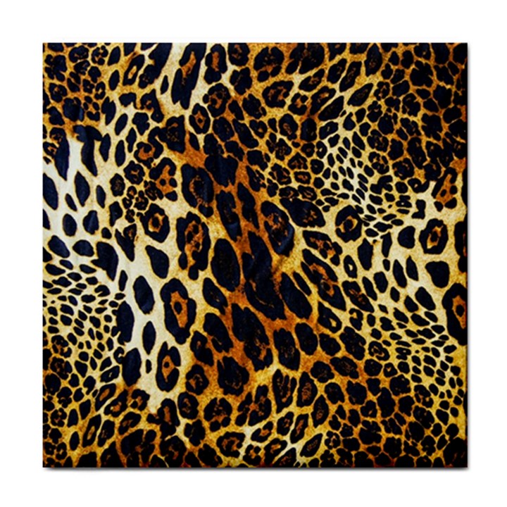 Leopard Skin Texture, Macro, Brown Tile Coaster