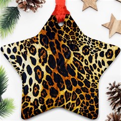 Leopard Skin Texture, Macro, Brown Ornament (star)