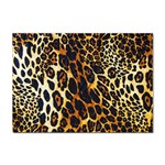 Leopard Skin Texture, Macro, Brown Sticker A4 (10 pack) Front