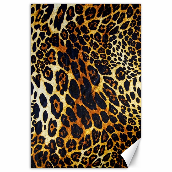 Leopard Skin Texture, Macro, Brown Canvas 24  x 36 