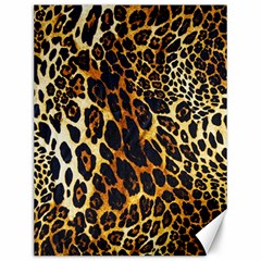 Leopard Skin Texture, Macro, Brown Canvas 12  X 16  by kyorashop23