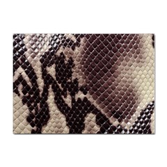 Snake Skin, Reptile Skin, Snake Skin Textures, Brown Snake Sticker A4 (10 Pack) by kyorashop23