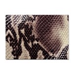 Snake Skin, Reptile Skin, Snake Skin Textures, Brown Snake Sticker A4 (10 pack) Front