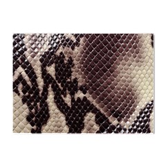 Snake Skin, Reptile Skin, Snake Skin Textures, Brown Snake Crystal Sticker (a4) by kyorashop23