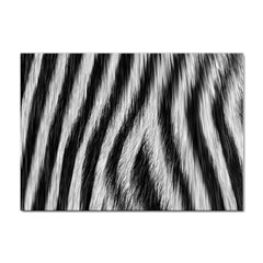 Zebra Texture, Zebra Wool, White Black Background Sticker A4 (100 Pack) by kyorashop23