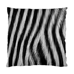 Zebra Texture, Zebra Wool, White Black Background Standard Cushion Case (one Side) by kyorashop23