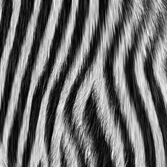 Zebra Texture, Zebra Wool, White Black Background Play Mat (rectangle) by kyorashop23