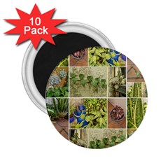 Garden Sanctuary Photo Collage Print 2 25  Magnets (10 Pack)  by dflcprintsclothing