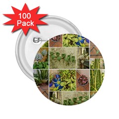 Garden Sanctuary Photo Collage Print 2 25  Buttons (100 Pack) 