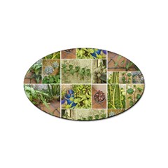 Garden Sanctuary Photo Collage Print Sticker (oval) by dflcprintsclothing