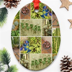 Garden Sanctuary Photo Collage Print Oval Ornament (two Sides) by dflcprintsclothing