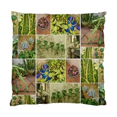 Garden Sanctuary Photo Collage Print Standard Cushion Case (one Side) by dflcprintsclothing