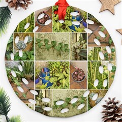 Garden Sanctuary Photo Collage Print Round Filigree Ornament (two Sides)