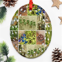 Garden Sanctuary Photo Collage Print Oval Filigree Ornament (two Sides)