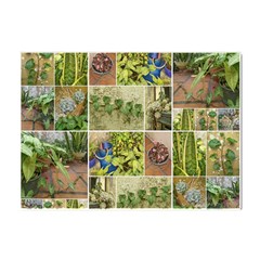 Garden Sanctuary Photo Collage Print Crystal Sticker (a4) by dflcprintsclothing